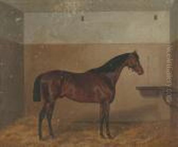 ''the Doctor' - A Bay Horse In A Loose Box' Oil Painting by Of John Alfred Wheeler