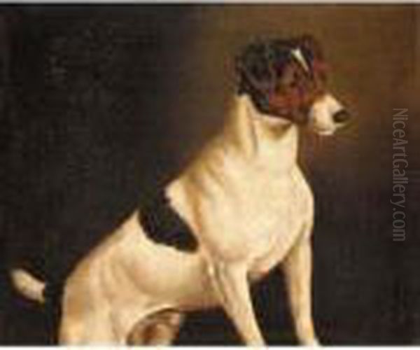 A Jack Russell Oil Painting by Of John Alfred Wheeler