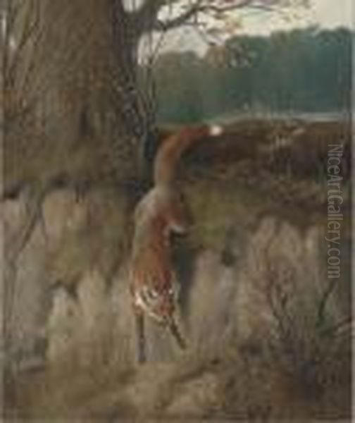 The Hunted Fox Oil Painting by Of John Alfred Wheeler