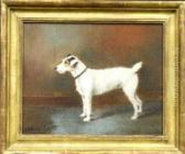 A Jack Russell Terrier Oil Painting by Of John Alfred Wheeler