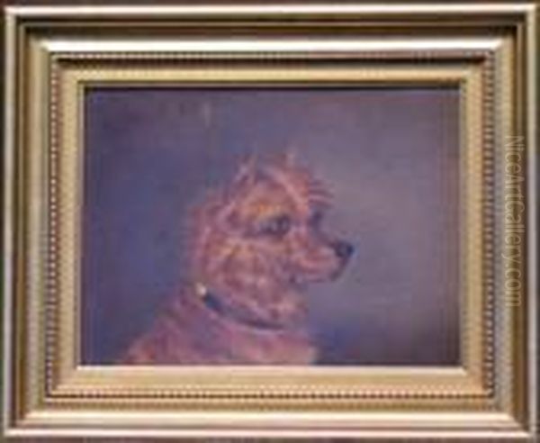 Head Of A Norwich Terrier Oil Painting by Of John Alfred Wheeler