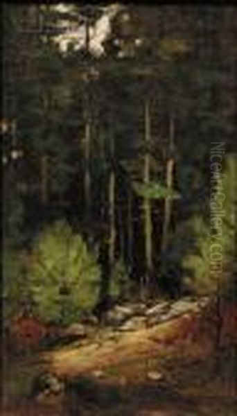 Woodland View. Oil Painting by George William Whitaker