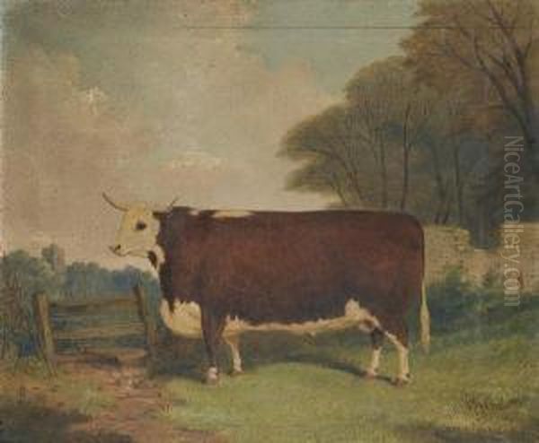 A Prize Cow By A Gate Oil Painting by Richard Whitford