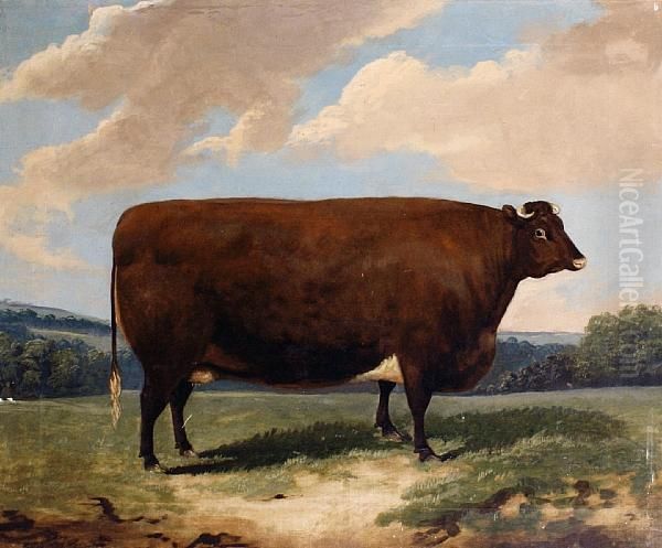 Cow In A Landscape Oil Painting by Richard Whitford