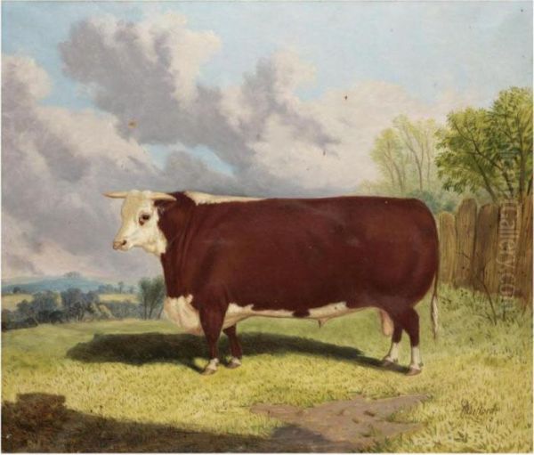 Prize Bull Oil Painting by Richard Whitford