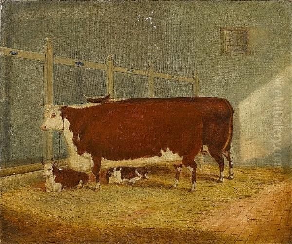 Two Hereford Shorthorns And Calves In A Stable Oil Painting by Richard Whitford