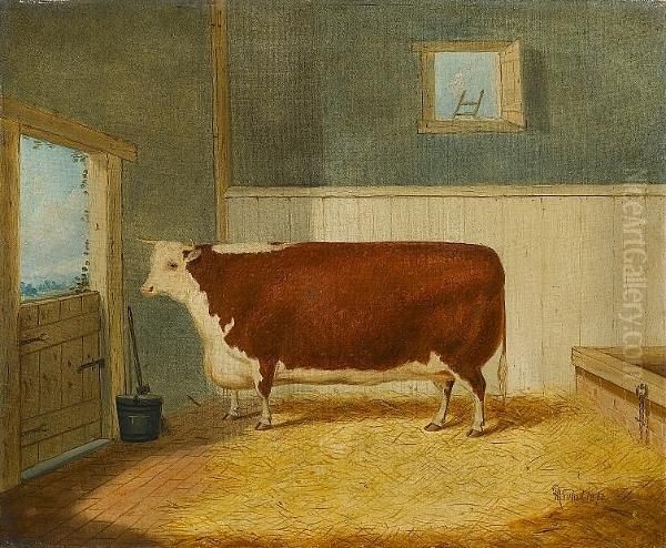 A Hereford Shorthorn In A Stable Oil Painting by Richard Whitford