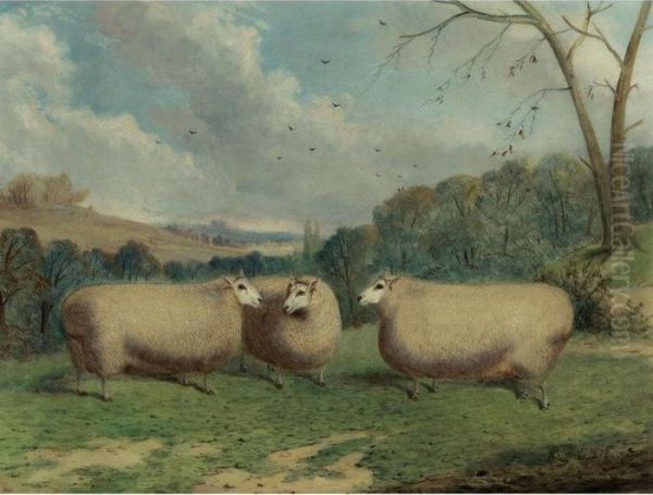 Mr. Henry J. Hopkin's Prize 
Sheep, Winners Of The 1st & 2nd Prizes At Brockley, Smithfield Club,
 Bedford, Market Harborough, 1876 & 1877 Oil Painting by Richard Whitford