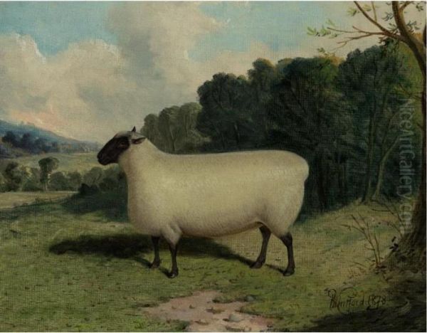 A Prize Ewe Oil Painting by Richard Whitford