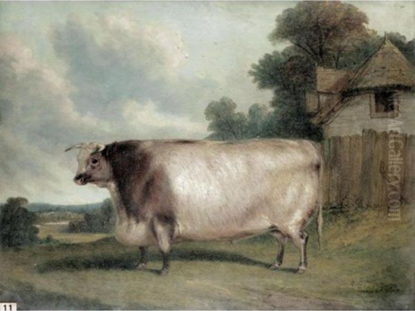 A Prize Short Horned Heifer In A Landscape Oil Painting by Richard Whitford