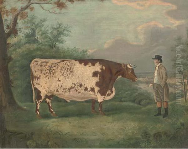 A Prize Bull Oil Painting by Richard Whitford