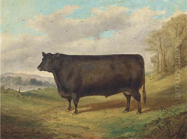 A Prize Bull Oil Painting by Richard Whitford