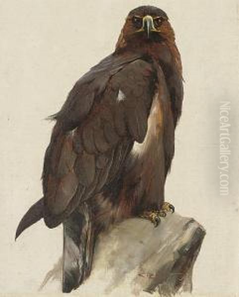 Golden Eagle Oil Painting by Charles Whymper