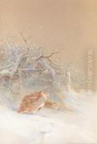 Two Partridges In A Snowy Landscape Oil Painting by Charles Whymper