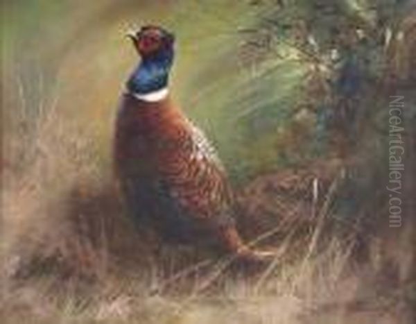 Pheasant In Landscape Oil Painting by Charles Whymper