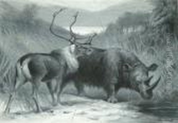 1944- Reindeer And Rhinoceros In A Winter Landscape Oil Painting by Charles Whymper