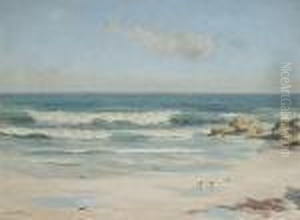 Waves Crashing On A Beach Oil Painting by Duncan Mcgregor Whyte