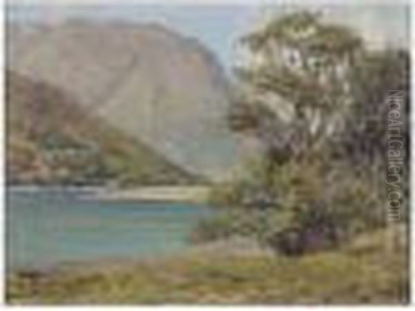 Near Ballachulish Oil Painting by Duncan Mcgregor Whyte