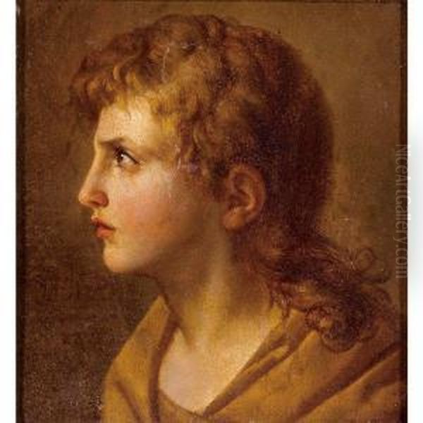 Head Of A Young Man, In Profile Oil Painting by Jean-Baptiste Jos. Wicar