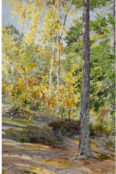 Forest Landscape Oil Painting by Gunnar M. Widforss