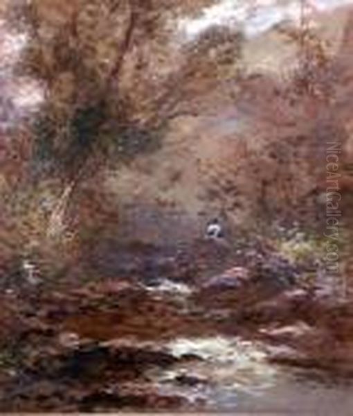 Woodland Stream Oil Painting by William Widgery