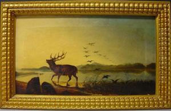 Hirsch An Einem See Oil Painting by William Widgery