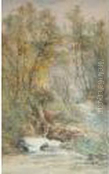 A Waterfall In A Wooded Landscape Oil Painting by William Widgery