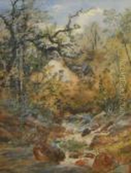 A Rocky Stream Oil Painting by William Widgery