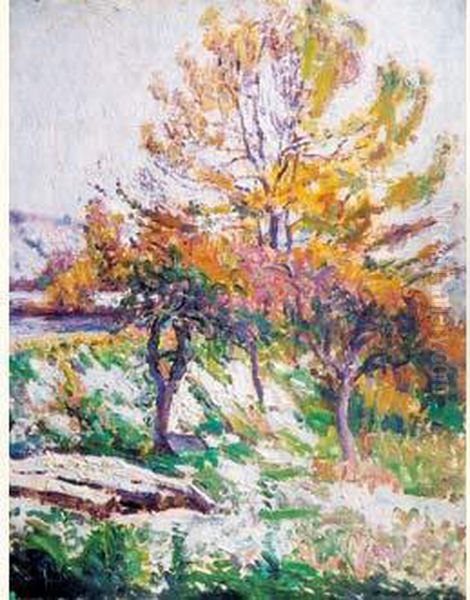 Jardin En Automne Oil Painting by David O. Widhopff