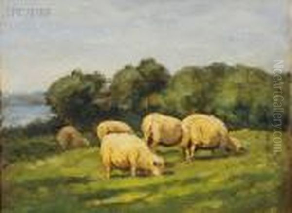 Grazing Sheep, Old Lyme, Connecticut Oil Painting by John Carleton Wiggins