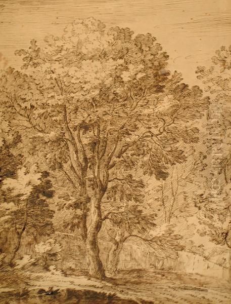 Study Of Trees Before A Wall Oil Painting by Jan Wildens