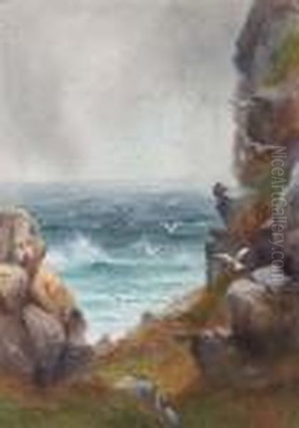 A Coastal Scene With Seagulls Oil Painting by Arthur Stanley Wilkinson