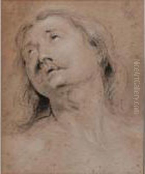 A Study Of The Head Of A Man Oil Painting by Thomas Willeboirts Bosschaert