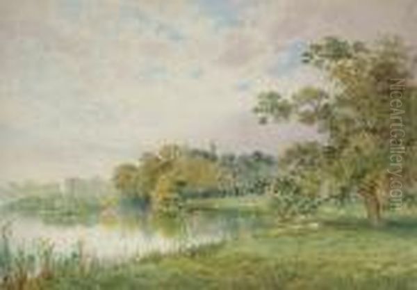 Sheep Grazing By A Lake by Arthur Reginald Willett