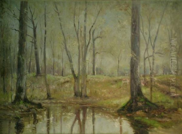 Early Spring In The Woods Oil Painting by Dwight Williams