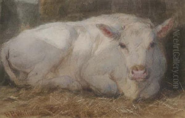 'study-white Calf' Signed 3.5 X 5.5in Oil Painting by Henry Brittan Willis