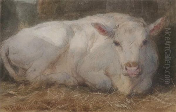 Study-white Calf Oil Painting by Henry Brittan Willis