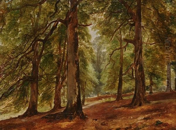 The Beeches, Forest Of Dean, Near Newnham On The Severn Oil Painting by Henry Brittan Willis