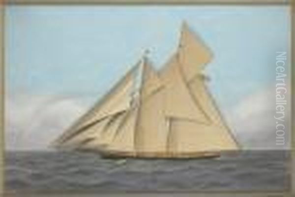 The American Yacht Oil Painting by Thomas Willis