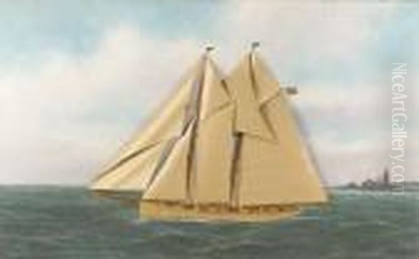 The Schooner Alert Of The New York Yacht Club Oil Painting by Thomas Willis