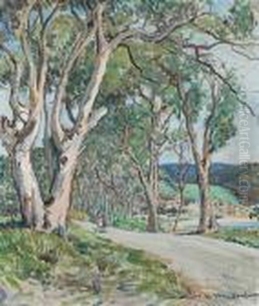 The Old Gumtree, Lorne by Dora Lynnell Wilson