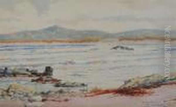 Pans, Machrihanish Oil Painting by Peter MacGregor Wilson