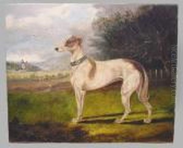 Italian Greyhound by Edward Henry Windred