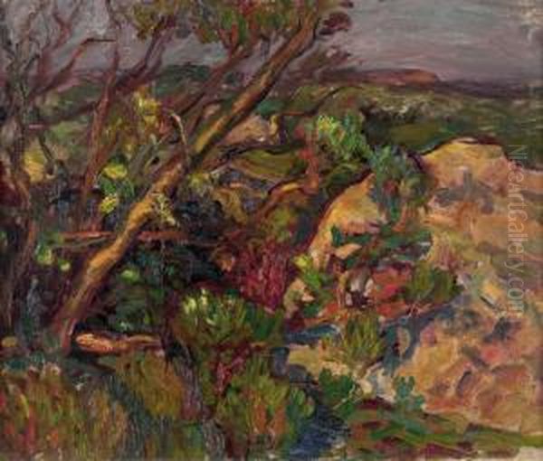 Rocky Landscape With A Stream Oil Painting by Charles Allan Winter