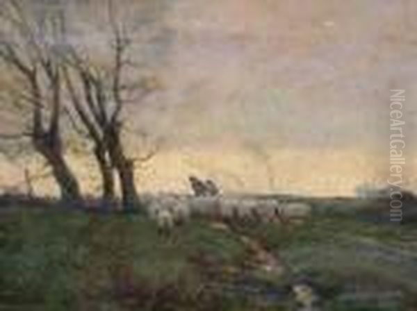 Sheep In A Landscape At Sunset Oil Painting by William Tatton Winter