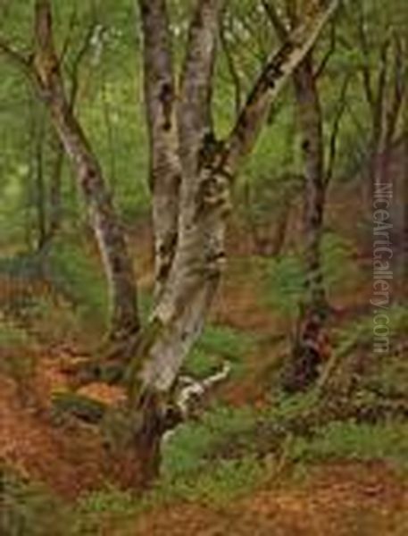 Im Wienerwald Oil Painting by Olga Wisinger-Florian