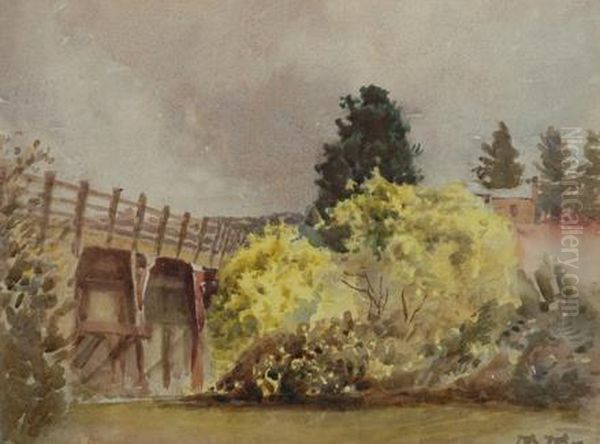 Wattle By The Bridge Oil Painting by Walter Withers