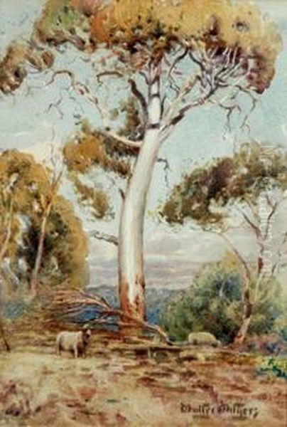 Sheep Grazing On The Hillside Oil Painting by Walter Withers