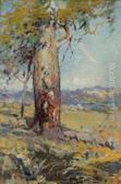 Sheep Under The Shade Of The Gum Oil Painting by Walter Withers