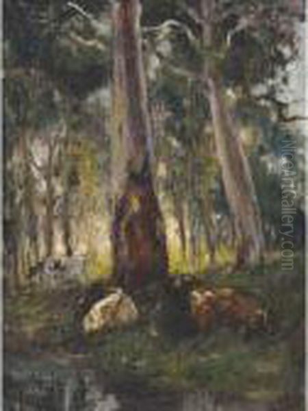 Cows Resting Under Gums Oil Painting by Walter Withers